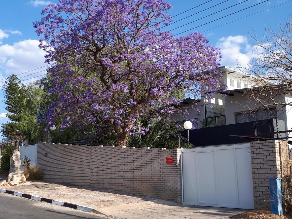מלון ווינדהוק Suiderhof Self-Catering מראה חיצוני תמונה